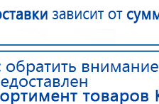 СКЭНАР-1-НТ (исполнение 01 VO) Скэнар Мастер купить в Бору, Аппараты Скэнар купить в Бору, Дэнас официальный сайт denasdoctor.ru