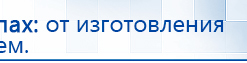 СКЭНАР-1-НТ (исполнение 02.1) Скэнар Про Плюс купить в Бору, Аппараты Скэнар купить в Бору, Дэнас официальный сайт denasdoctor.ru